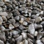 Echantillon de tapis de pierre
 Agrégats-Gris Flanelle